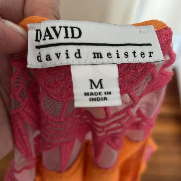 David by David Meister Flowing Orange Maxi Dress with a Pink Lace/Mesh Neckline - Picture 10 of 10
